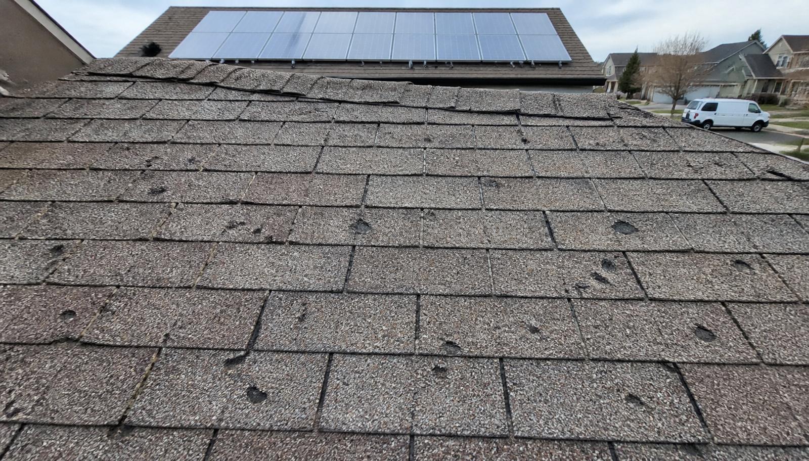 Close-up of a hail-damaged asphalt shingle roof in Colorado with a rear-slope solar array visible in the background